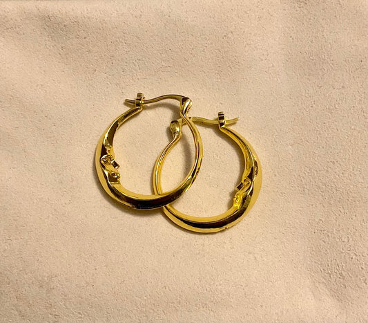 Moon Earrings